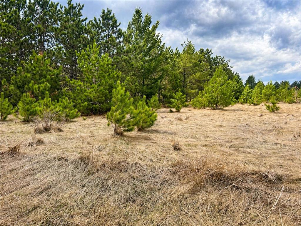 TBD 8th Street W Park Rapids MN 56470 7061000 image2