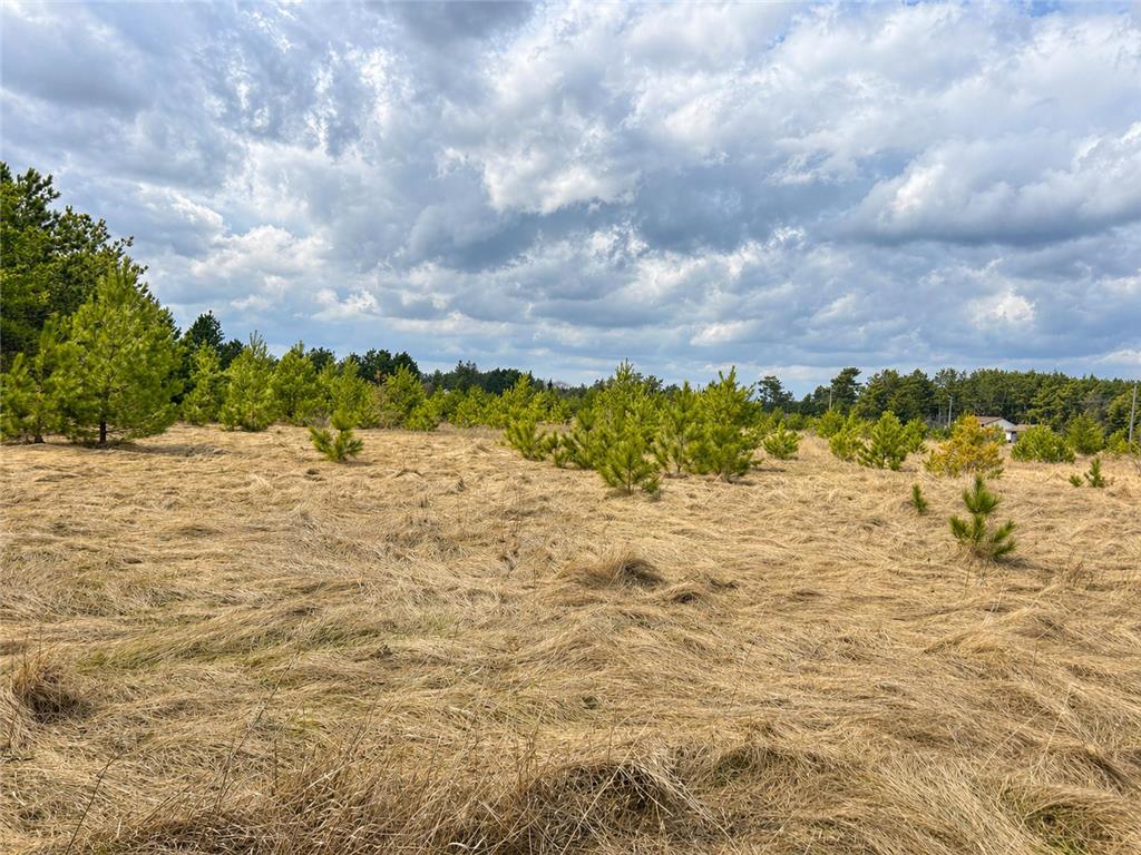 TBD 8th Street W Park Rapids MN 56470 7061000 image3