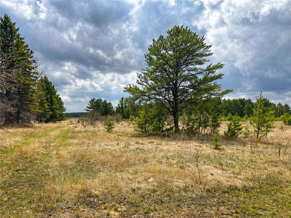 TBD 8th Street W Park Rapids MN 56470 7061000 image5