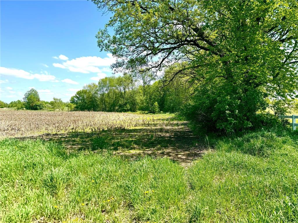 TBD-20+/- Acres 90TH Ave Princeton MN 55371 6541172 image1