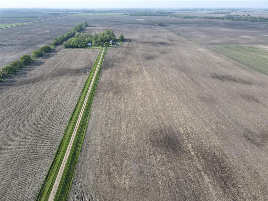 TBD 90th St Swenoda Twp MN 56215 7105327 image4