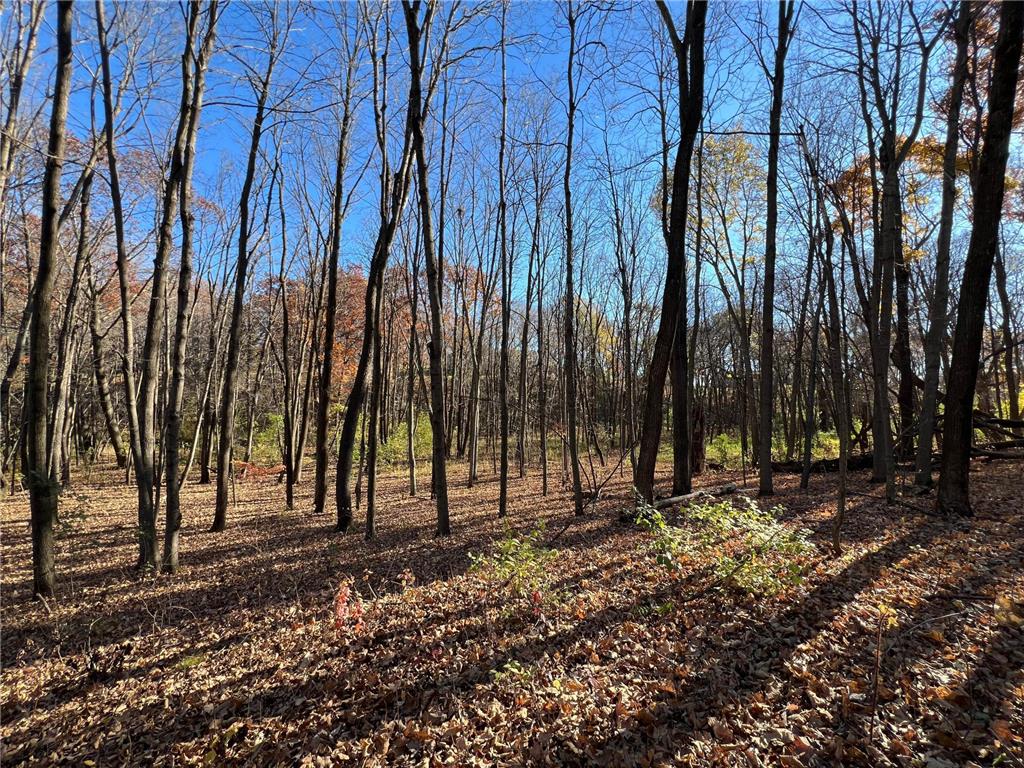 TBD 90th Street E Northfield MN 55057 - Heath Creek 6800720 image1