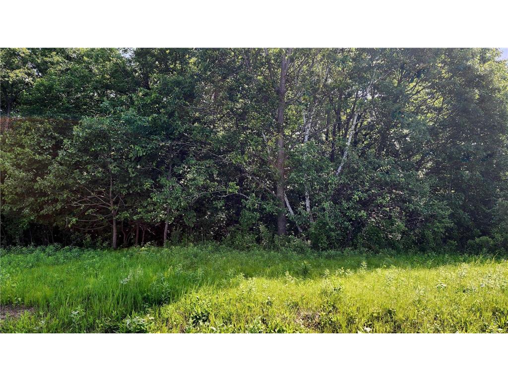 TBD 95th Street Black Brook Twp WI 54001 6735640 image1