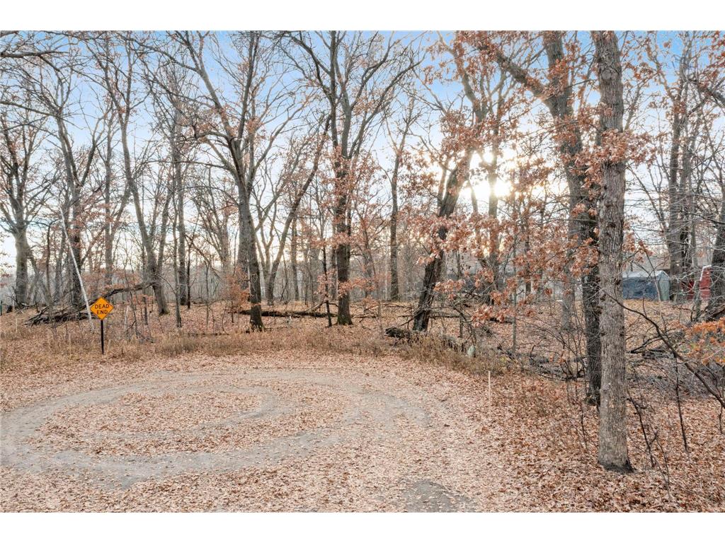 TBD 97 1/2 Street NW Zimmerman MN 55398 6819867 image10