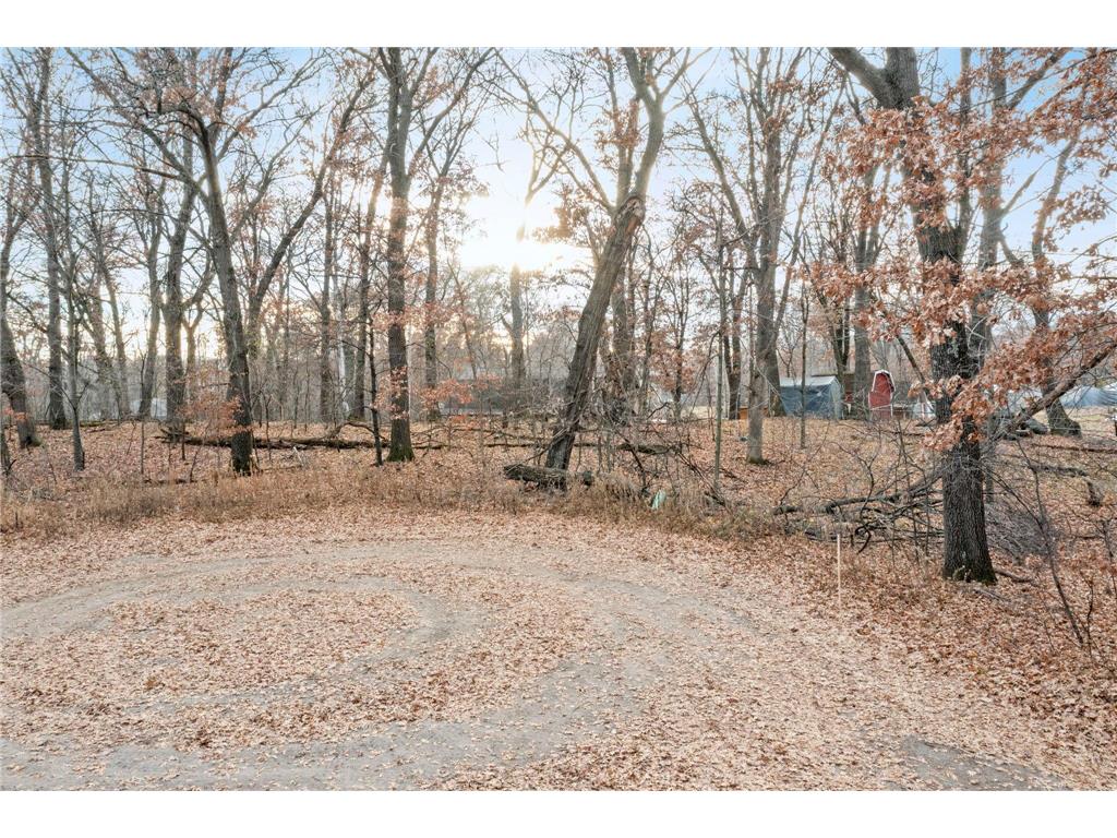 TBD 97 1/2 Street NW Zimmerman MN 55398 6819867 image11