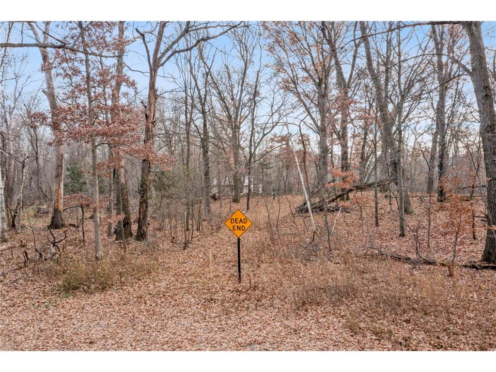 TBD 97 1/2 Street NW Zimmerman MN 55398 6819867 image12