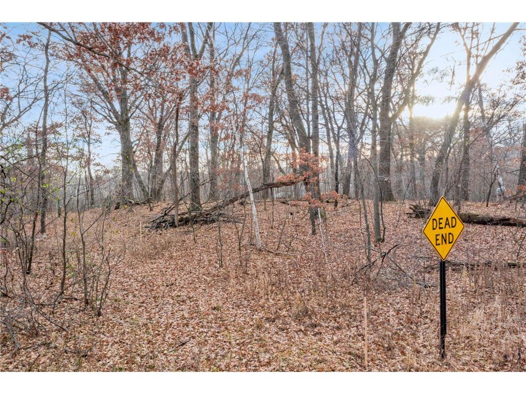 TBD 97 1/2 Street NW Zimmerman MN 55398 6819867 image13
