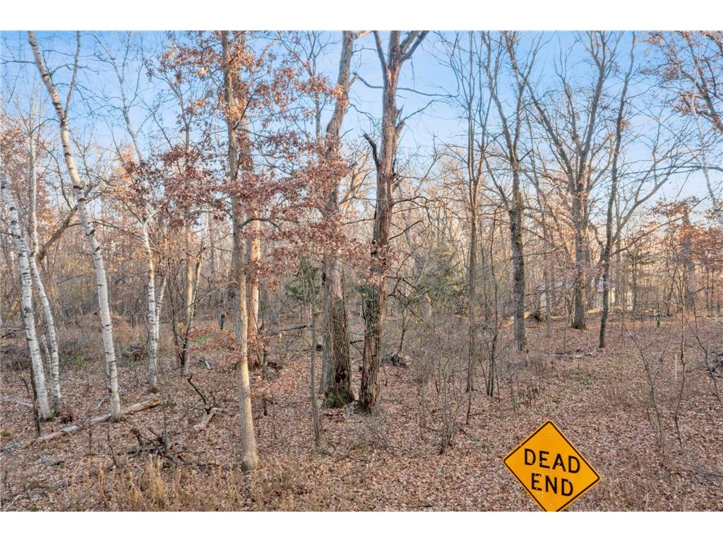 TBD 97 1/2 Street NW Zimmerman MN 55398 6819867 image14