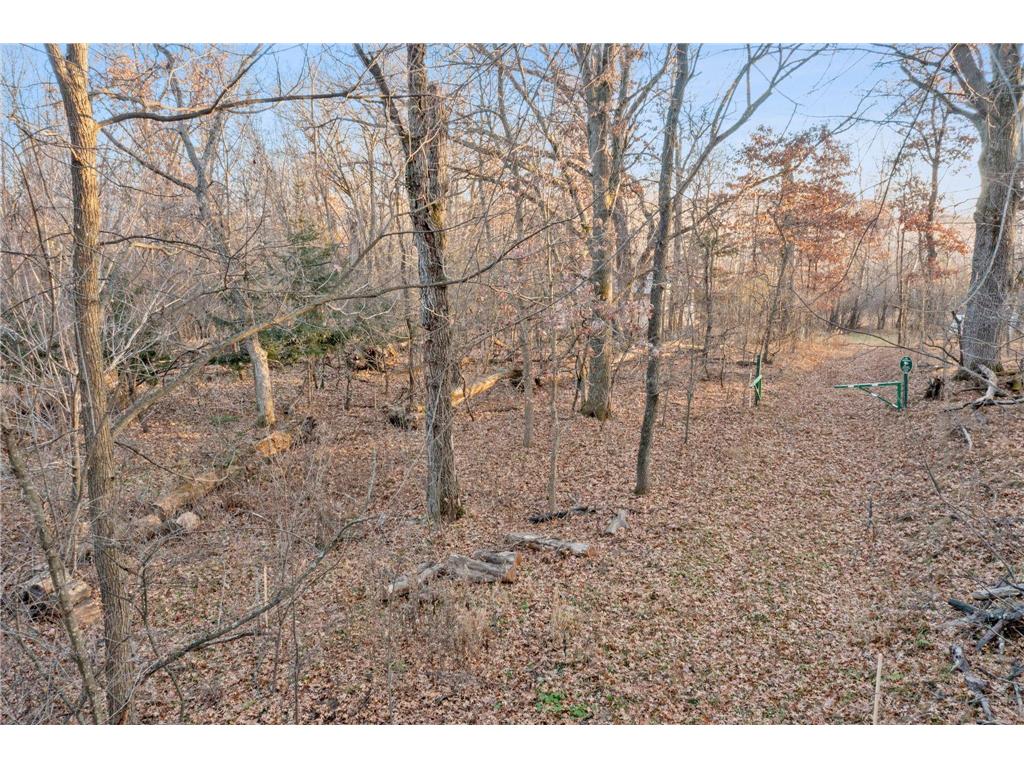 TBD 97 1/2 Street NW Zimmerman MN 55398 6819867 image15