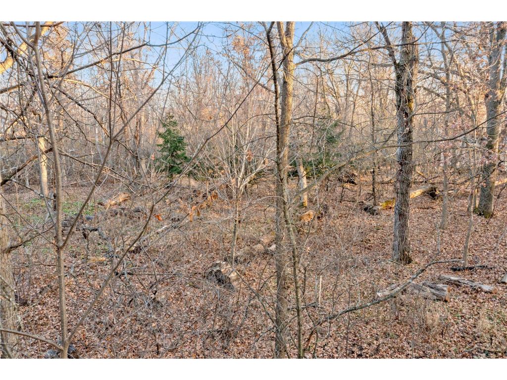 TBD 97 1/2 Street NW Zimmerman MN 55398 6819867 image16