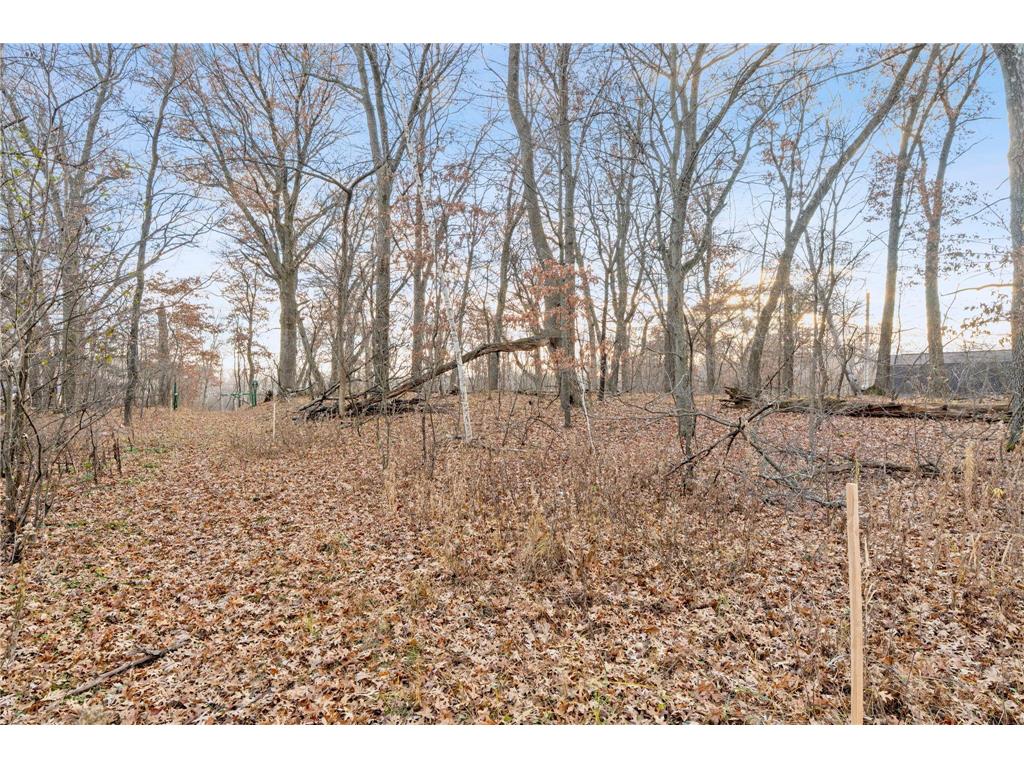 TBD 97 1/2 Street NW Zimmerman MN 55398 6819867 image18
