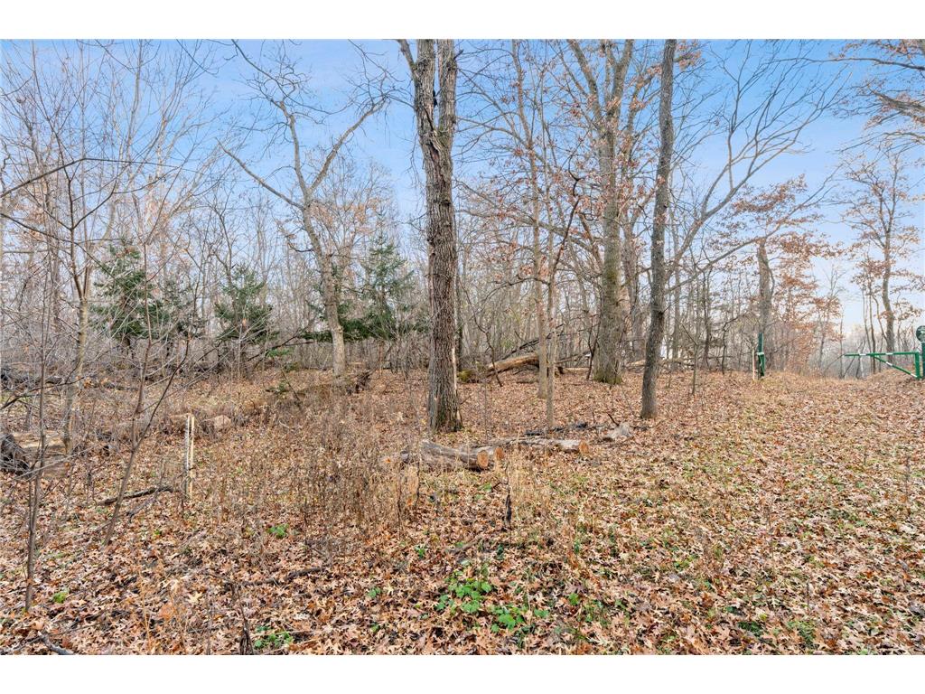 TBD 97 1/2 Street NW Zimmerman MN 55398 6819867 image3