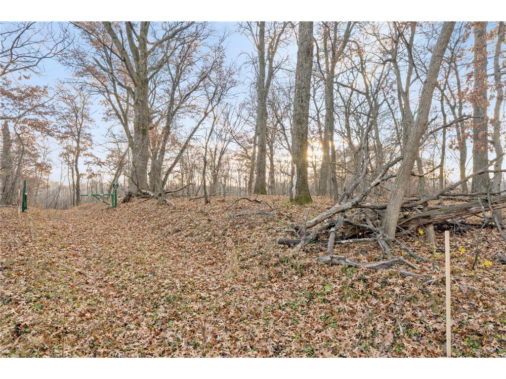 TBD 97 1/2 Street NW Zimmerman MN 55398 6819867 image4