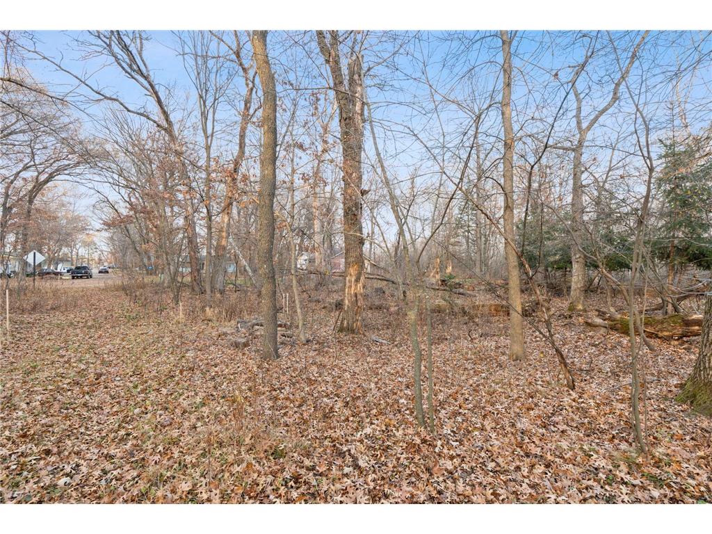 TBD 97 1/2 Street NW Zimmerman MN 55398 6819867 image5