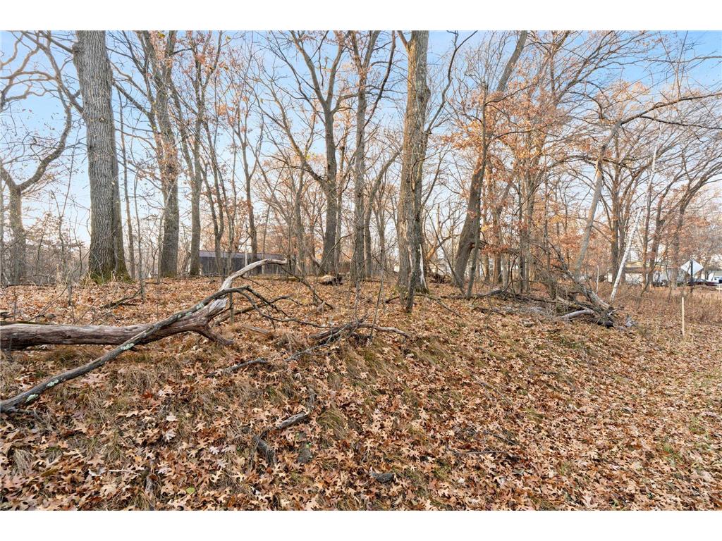 TBD 97 1/2 Street NW Zimmerman MN 55398 6819867 image6
