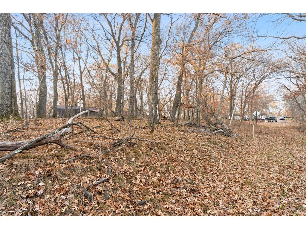 TBD 97 1/2 Street NW Zimmerman MN 55398 6819867 image7