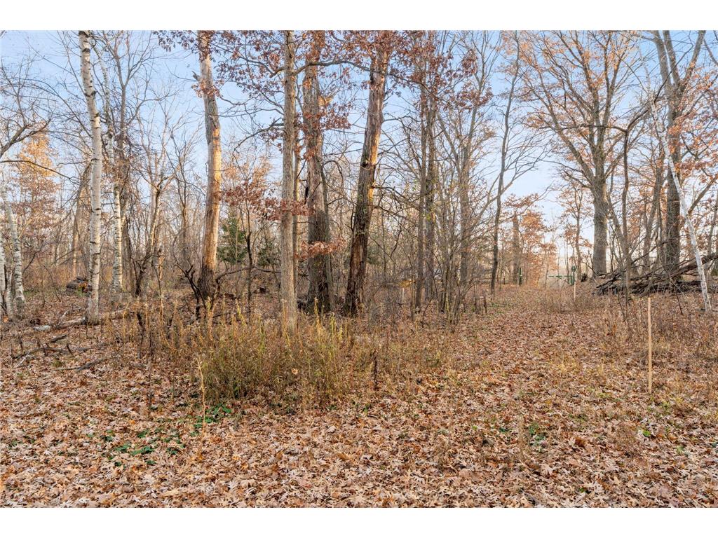 TBD 97 1/2 Street NW Zimmerman MN 55398 6819867 image9