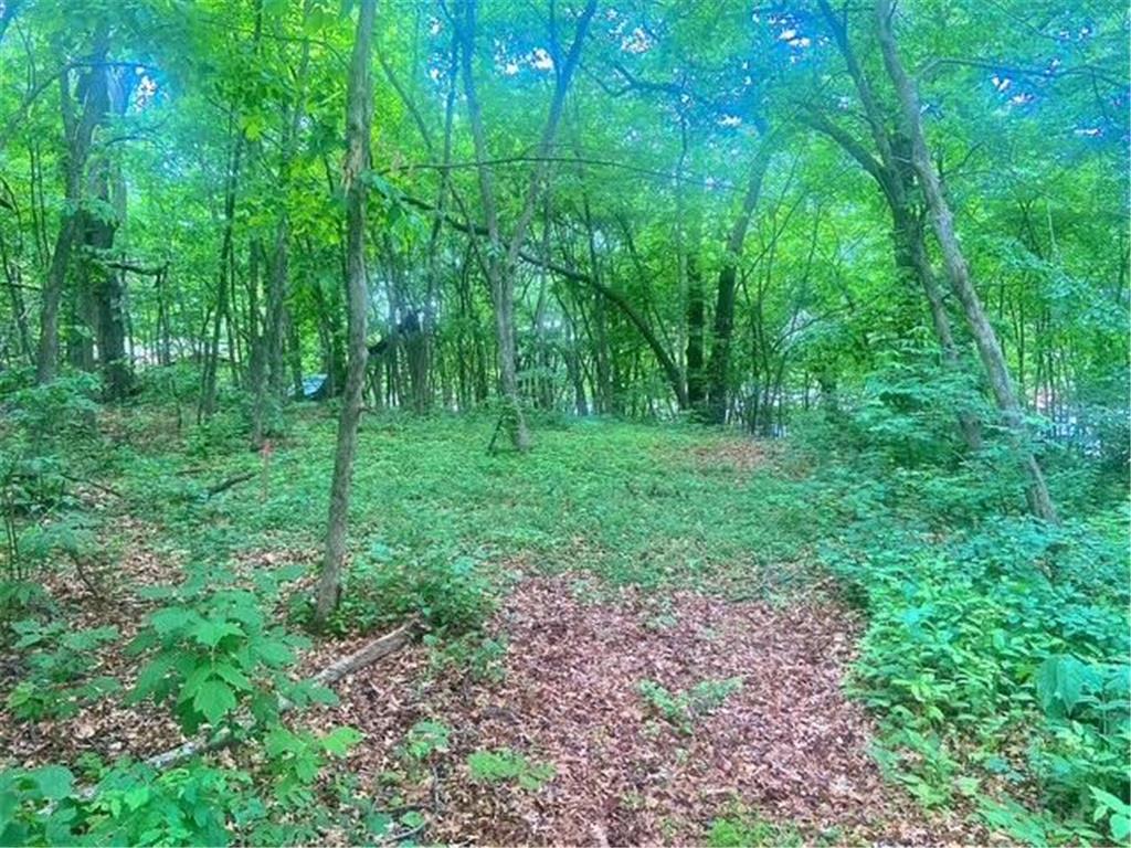 TBD 98th Street NW Zimmerman MN 55398 - West Hunter 7079815 image2