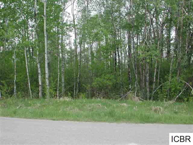 Lt 1 Blk 3 ASPEN DR Deer River MN 56636 5300153 image1
