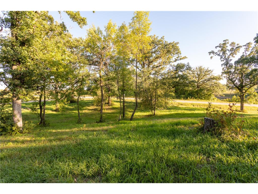 TBD Abby Lane NW Ida Twp MN 56308 - Ida 7080709 image11