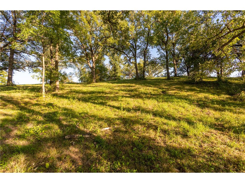 TBD Abby Lane NW Ida Twp MN 56308 - Ida 7080709 image13