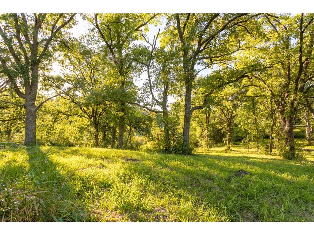 TBD Abby Lane NW Ida Twp MN 56308 - Ida 7080709 image14