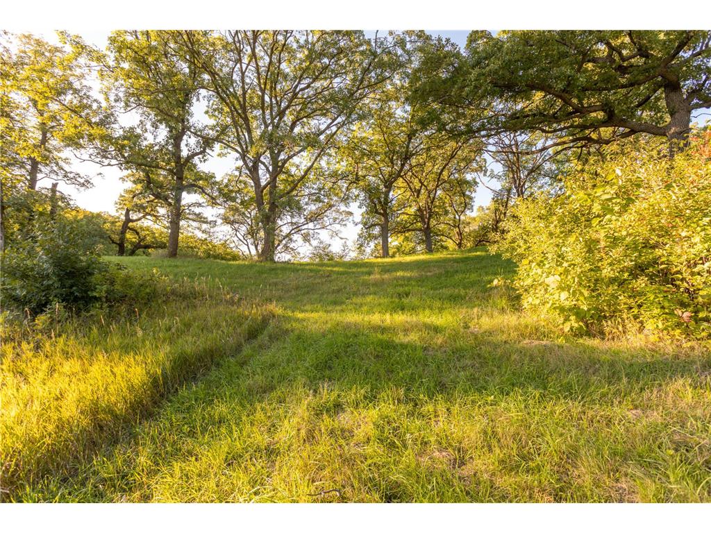 TBD Abby Lane NW Ida Twp MN 56308 - Ida 7080709 image15