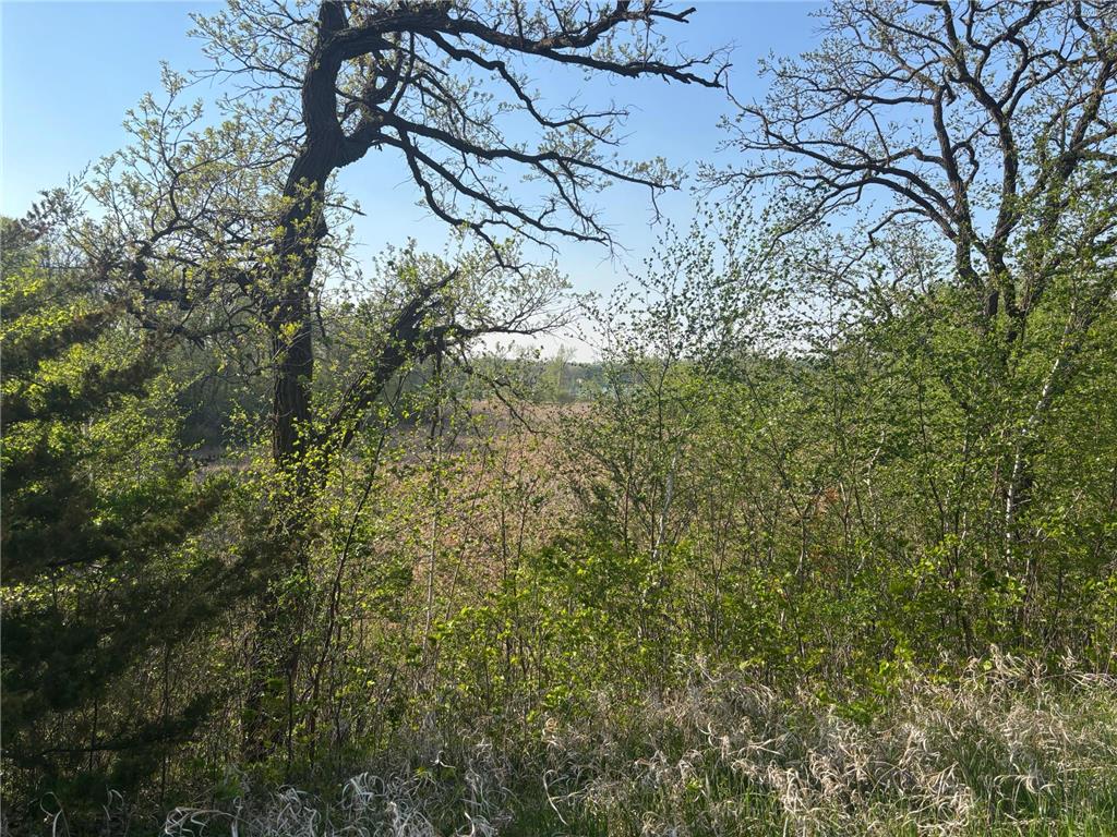 TBD Abby Lane NW Ida Twp MN 56308 - Ida 7080709 image17