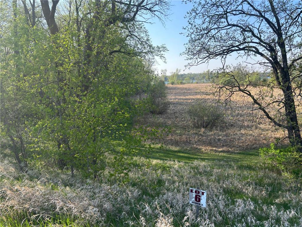 TBD Abby Lane NW Ida Twp MN 56308 - Ida 7080709 image18