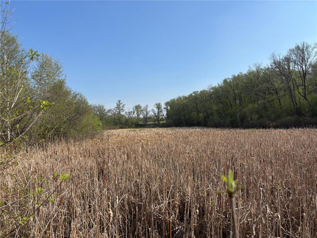 TBD Abby Lane NW Ida Twp MN 56308 - Ida 7080709 image20