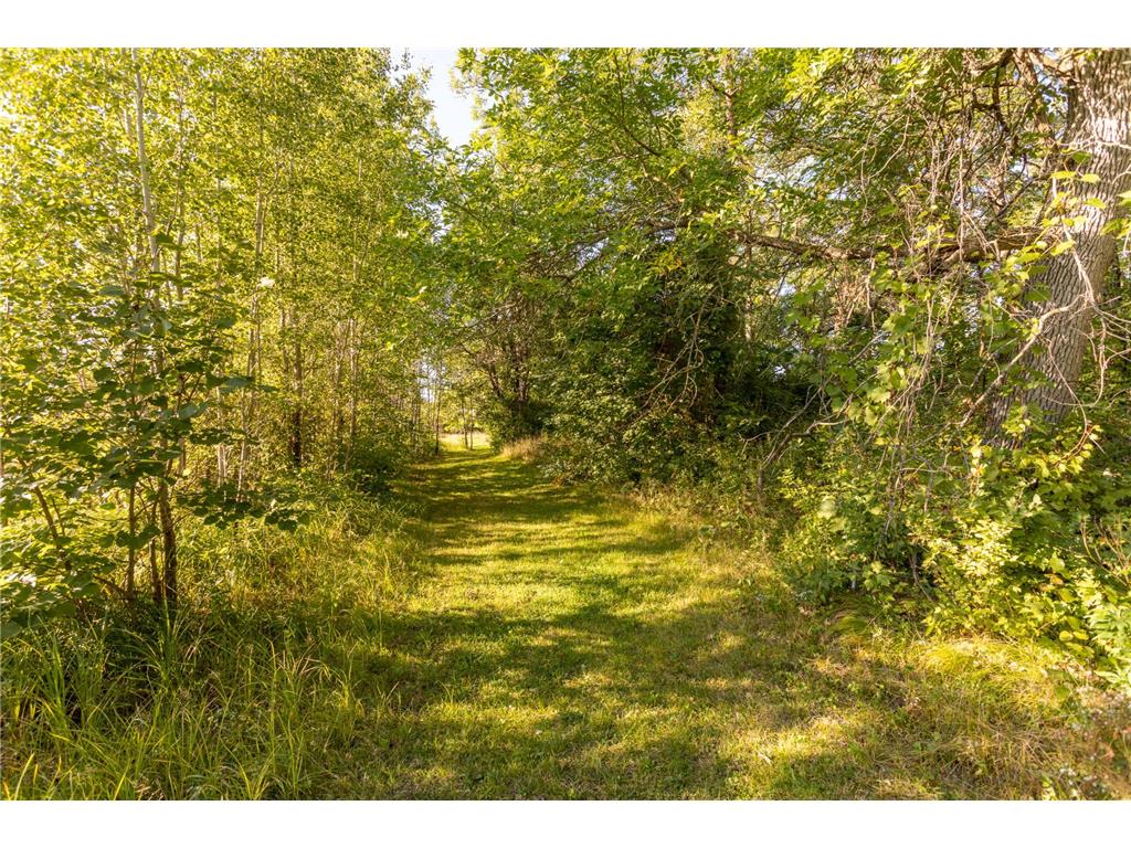TBD Abby Lane NW Ida Twp MN 56308 - Ida 7080709 image9