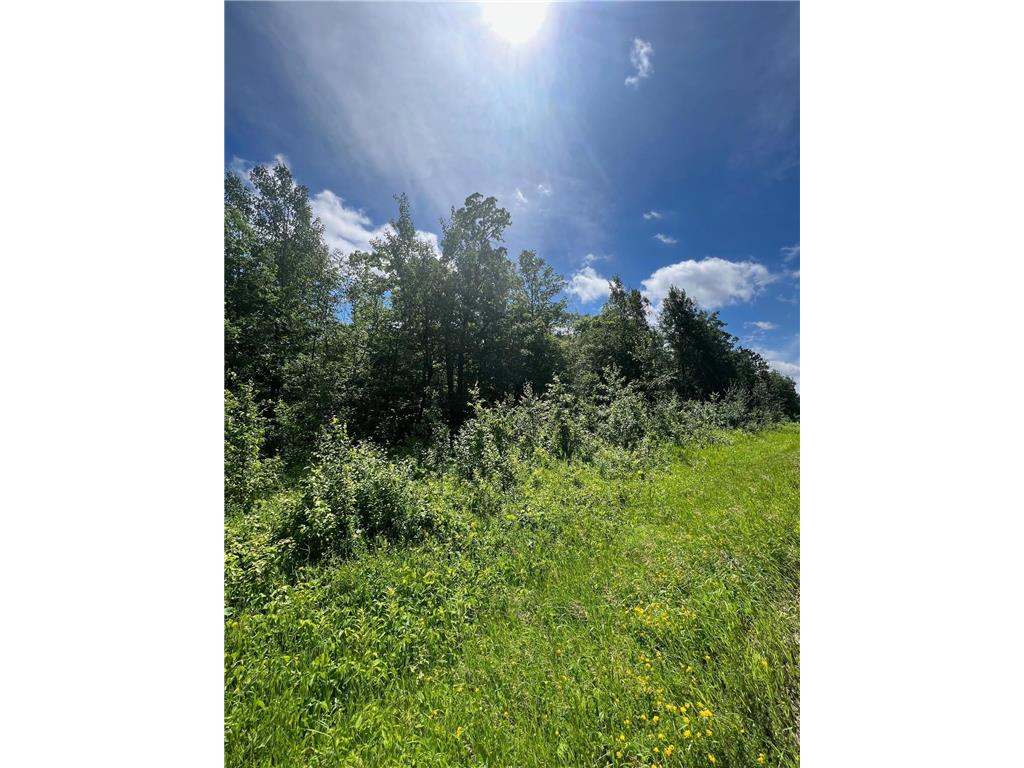 TBD Adelia Drive SE Bemidji MN 56601 6563498 image1