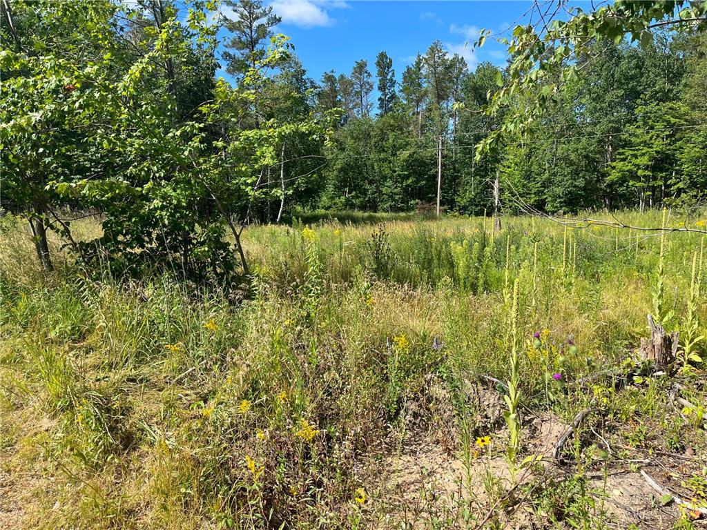 TBD Airport Road Breezy Point MN 56472 6420464 image1