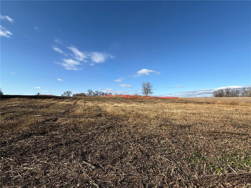 TBD Alivias Avenue Dunn Twp MN 56572 6820558 image5