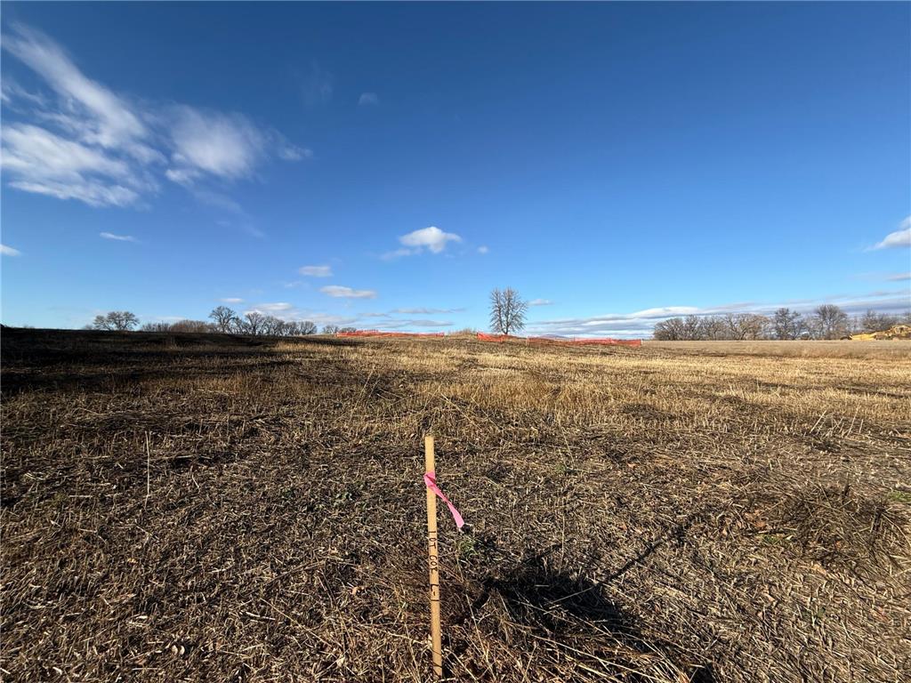 TBD Alivias Avenue Dunn Twp MN 56572 6820558 image6