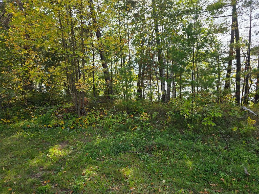 TBD Andrusia Road SE #Lot 4 Block 1 Cass Lake MN 56633 - Andrusia Lake 6690996 image17