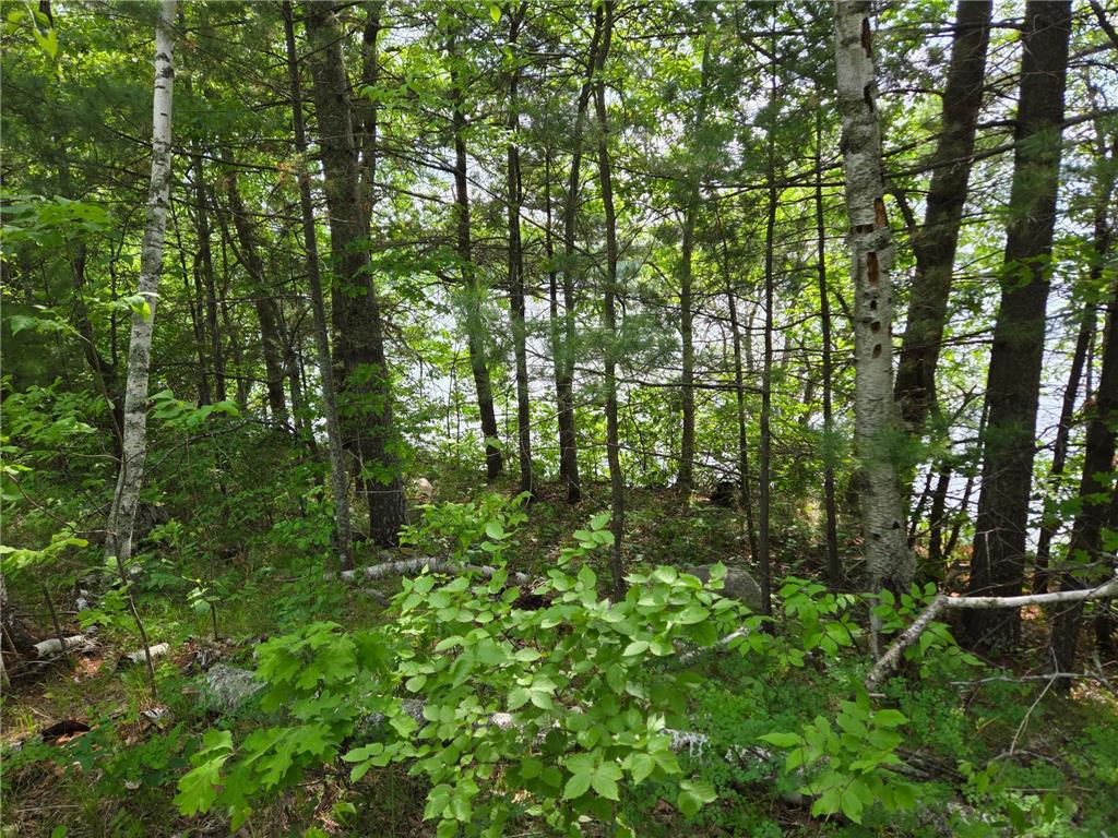 TBD Andrusia Road SE #Lot 4 Block 1 Cass Lake MN 56633 - Andrusia Lake 7056905 image15