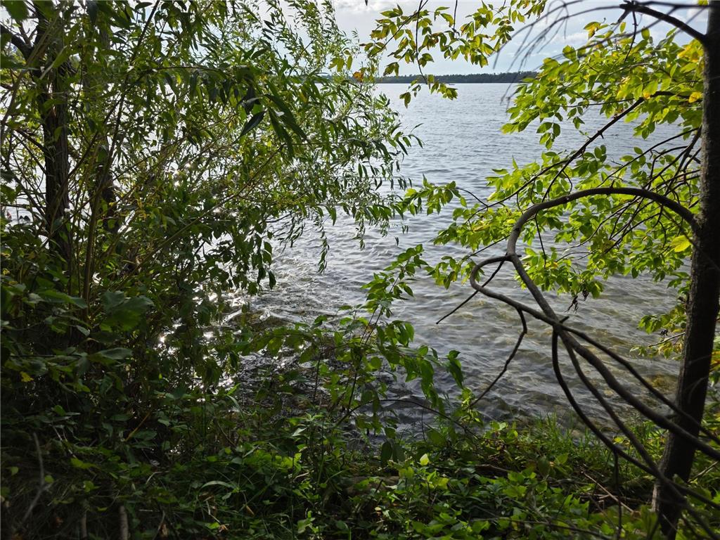 TBD Andrusia Road SE #Lot 4 Block 1 Cass Lake MN 56633 - Andrusia Lake 7056905 image23