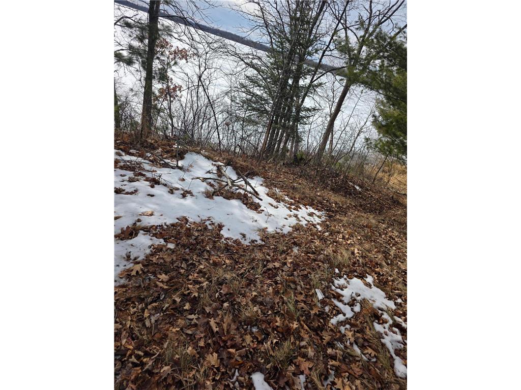 TBD Andrusia Road SE #Lot 6 Block 1 Cass Lake MN 56633 - Andrusia Lake 6691097 image25