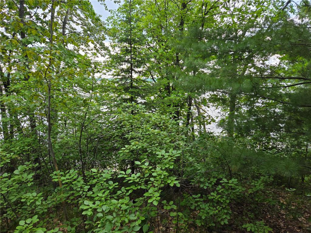 TBD Andrusia Road SE #Lot 7 Block 1 Cass Lake MN 56633 - Andrusia Lake 6691172 image14