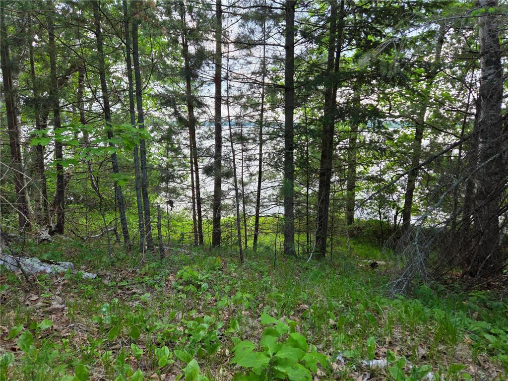 TBD Andrusia Road SE #Lot 7 Block 1 Cass Lake MN 56633 - Andrusia Lake 6691172 image8