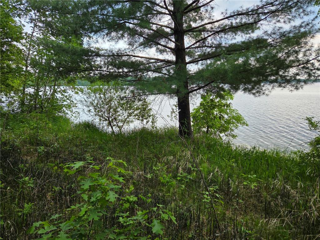 TBD Andrusia Road SE #Lot 7 Block 1 Cass Lake MN 56633 - Andrusia Lake 6691172 image9