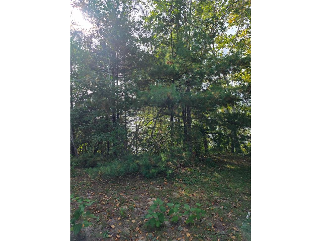 TBD Andrusia Road SE #Lot 7 Block 1 Cass Lake MN 56633 - Andrusia Lake 7056866 image15