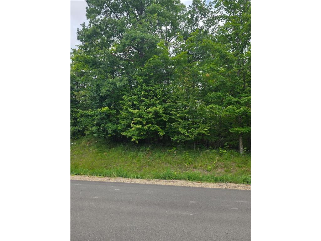 TBD Anjonabe Court SE Ten Lake Twp MN 56601 - Andrusia Lake 6771124 image1