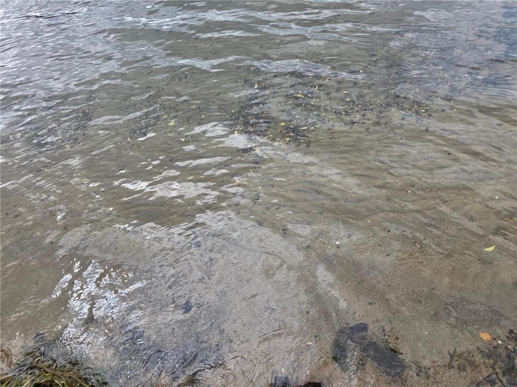 TBD Anjonabe Court SE Ten Lake Twp MN 56601 - Andrusia Lake 6771124 image15