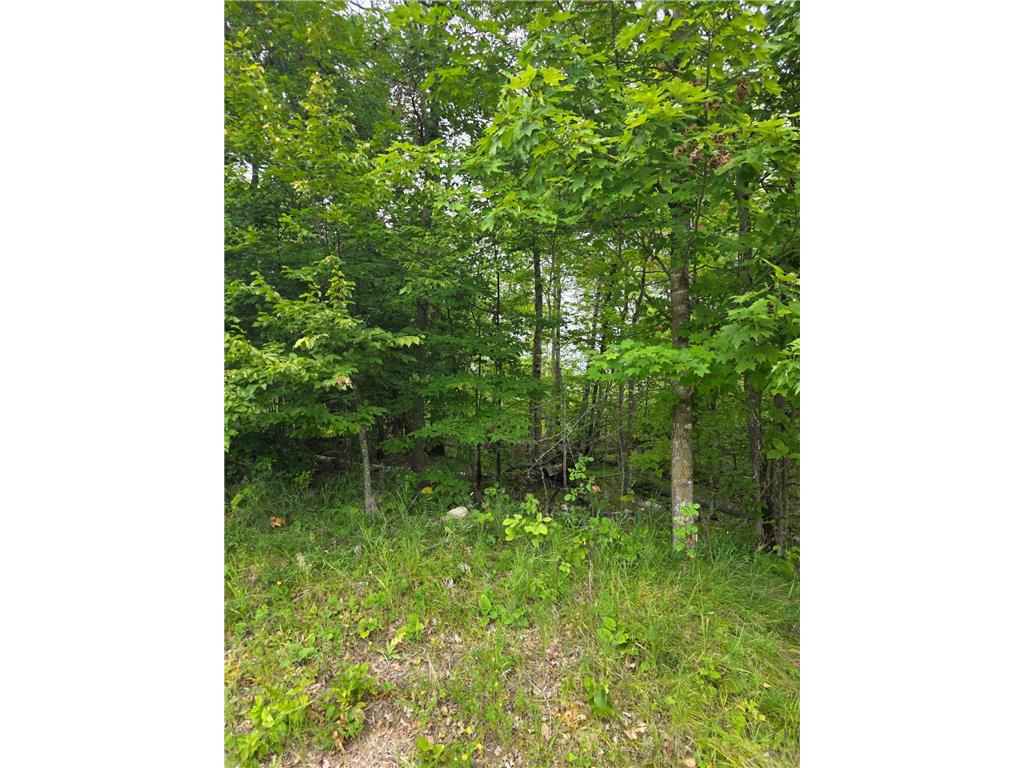 TBD Anjonabe Court SE Ten Lake Twp MN 56601 - Andrusia Lake 6771124 image4