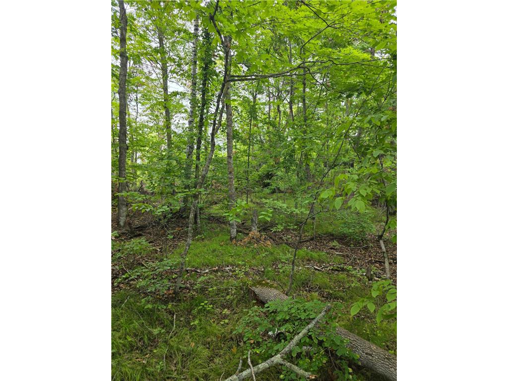 TBD Anjonabe Court SE Ten Lake Twp MN 56601 - Andrusia Lake 6771124 image5