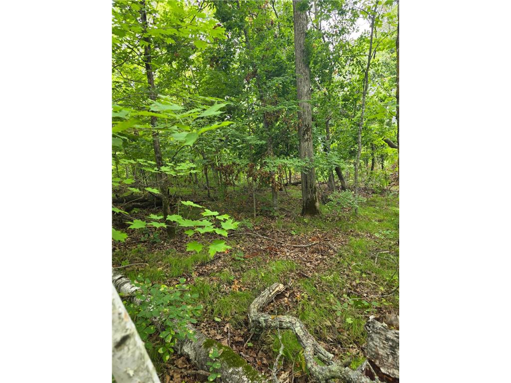 TBD Anjonabe Court SE Ten Lake Twp MN 56601 - Andrusia Lake 6771124 image6