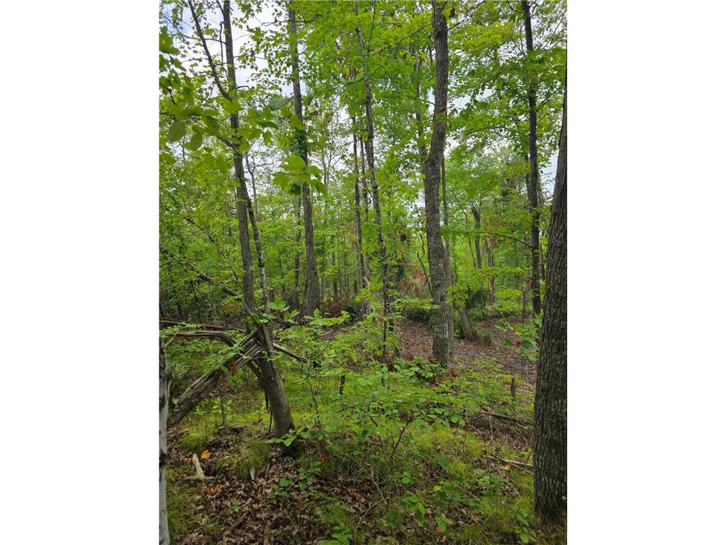 TBD Anjonabe Court SE Ten Lake Twp MN 56601 - Andrusia Lake 6771124 image7
