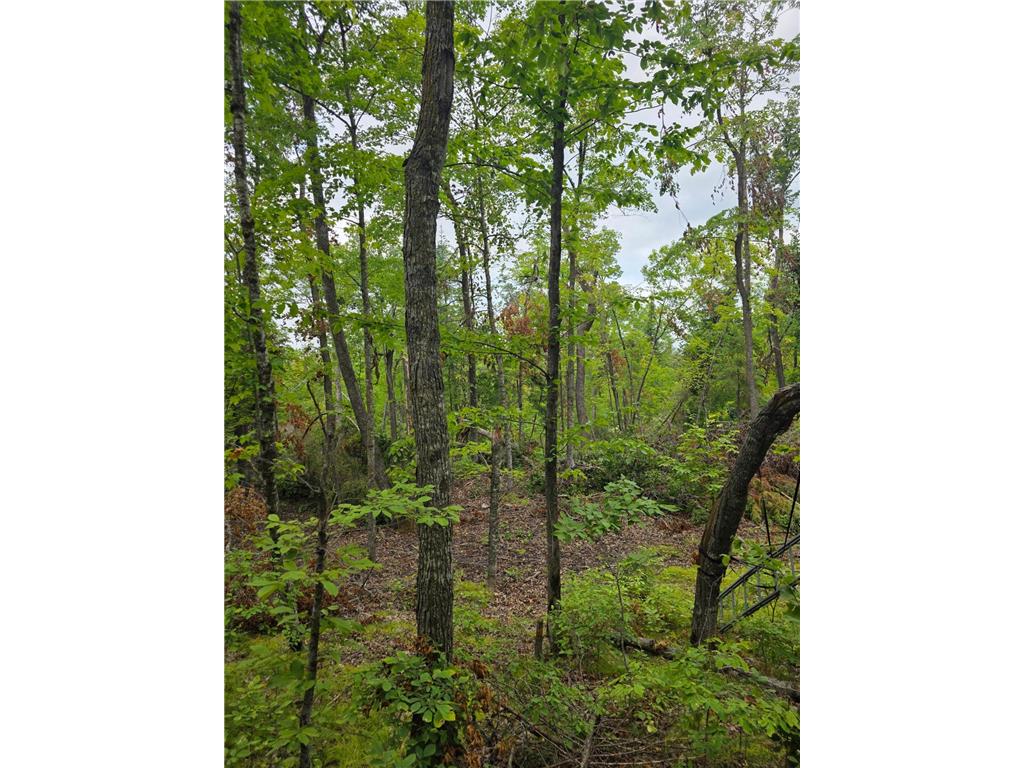 TBD Anjonabe Court SE Ten Lake Twp MN 56601 - Andrusia Lake 6771124 image8